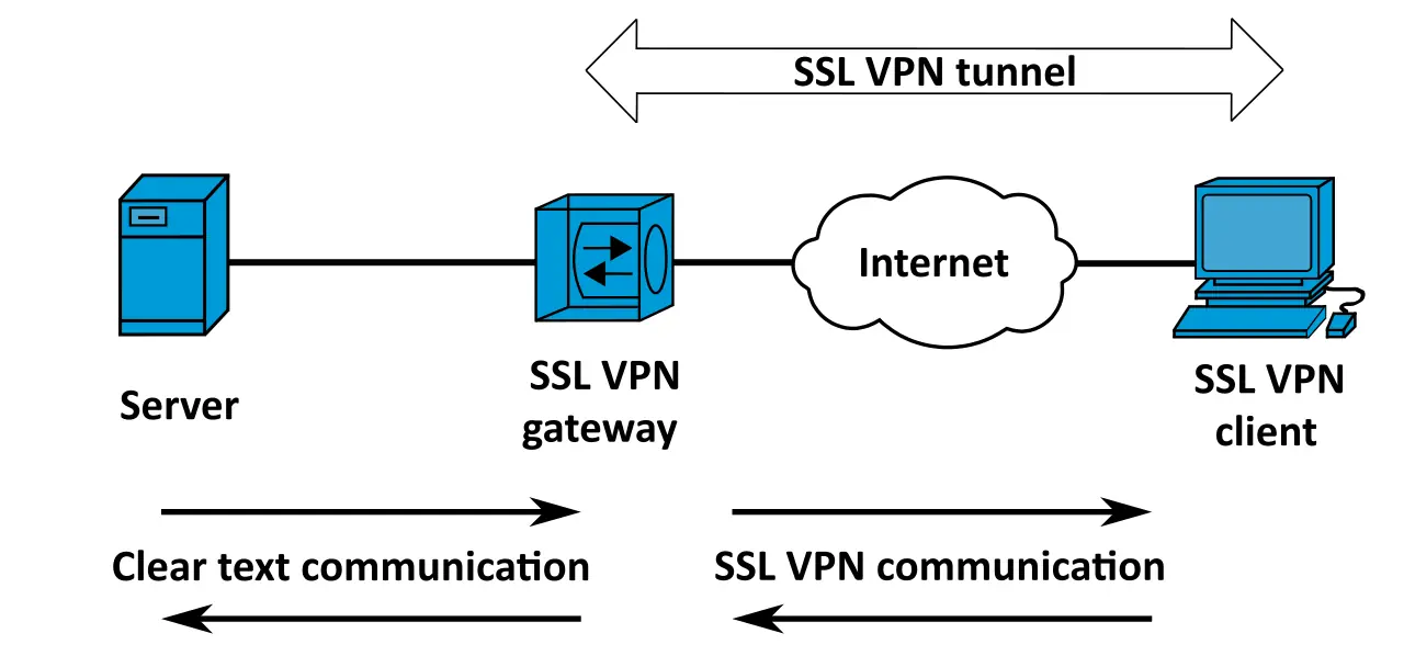 SSL VPN topology showing client, network, and server roles